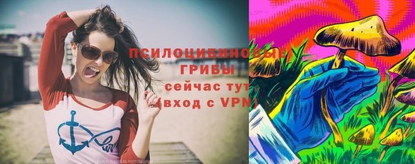 mdpv Медвежьегорск