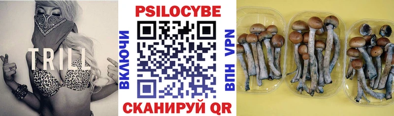 OMG онион  Зеленокумск  Псилоцибиновые грибы Cubensis 