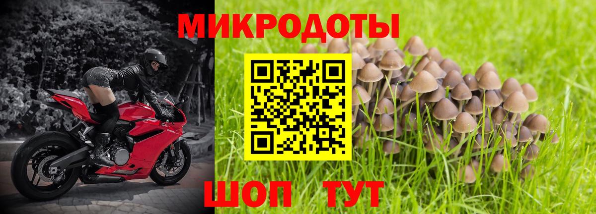 Галлюциногенные грибы мицелий  Вход с VPN  Зеленокумск 