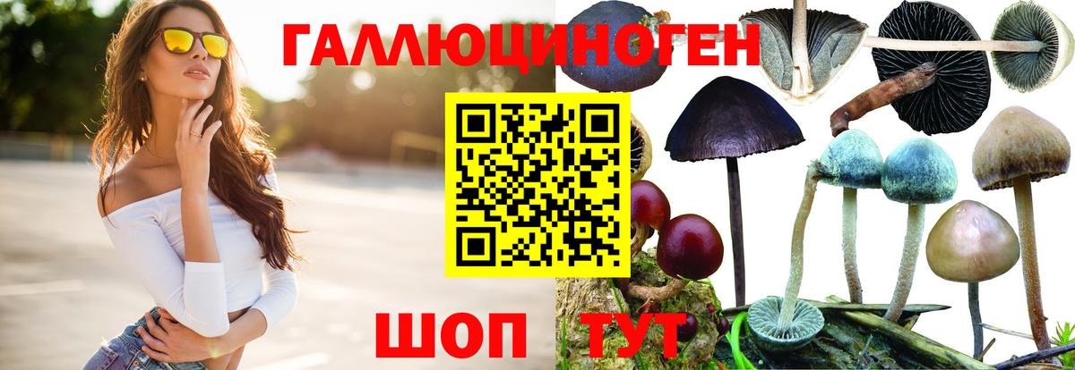 ГАШ Зеленокумск