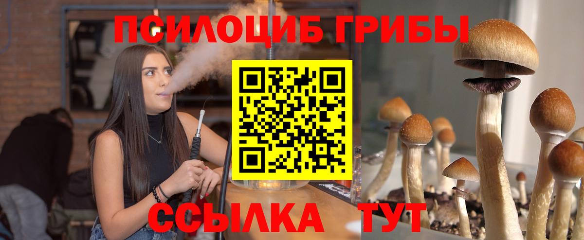 Галлюциногенные грибы Psilocybine cubensis Зеленокумск